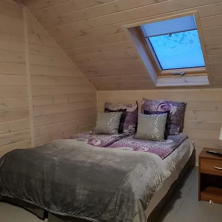 Goscinne Kacper Blisko Gondoli-sauna-jacuzzi-grill-klimatyzacja ホームステイ