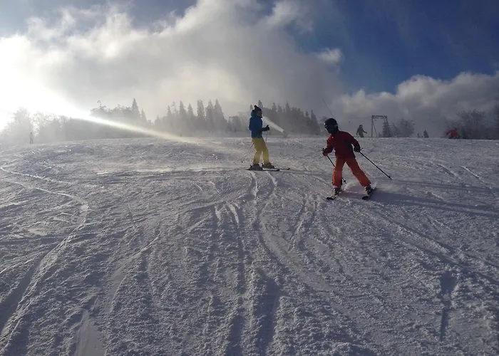 Ubytování v soukromí Goscinne Kacper Blisko Gondoli - Sauna Szczyrk